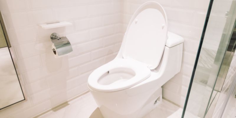 Como Desentupir Vaso Sanitário Que Caiu Objeto Dentro em São Bernardo do Campo: 4 Técnicas